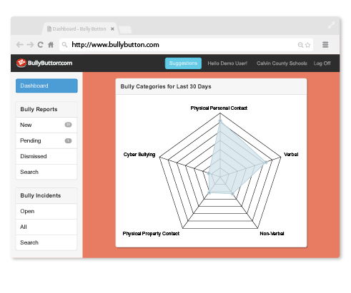 Bullying categories report