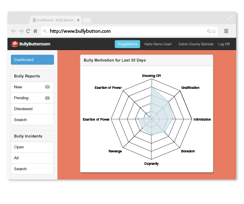 Bully motivation report